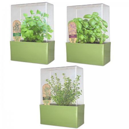 Grow Your Own Deluxe<BR>Herb Garden