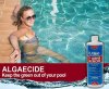 Woman In Swimming Pool - Algaecide