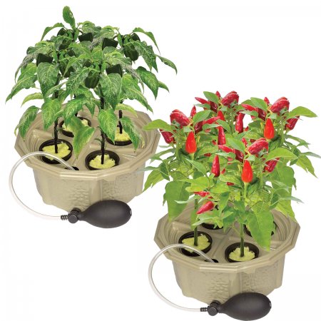 Homegrown<BR>Hydroponic Pepper Kit