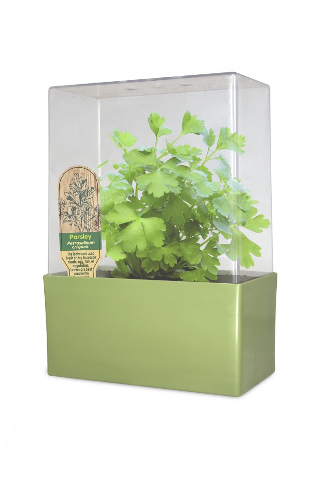 Grow Your Own Deluxe<BR>Herb Garden