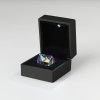 House-Shaped Prism with LED Case