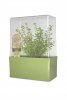 Grow Your Own Deluxe<BR>Herb Garden